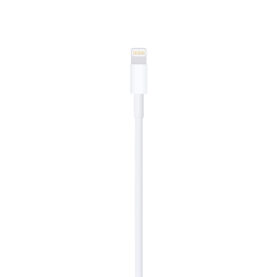 il y a un Câble Apple Lightning vers USB de couleur blanche qui fait 1 mètre de long